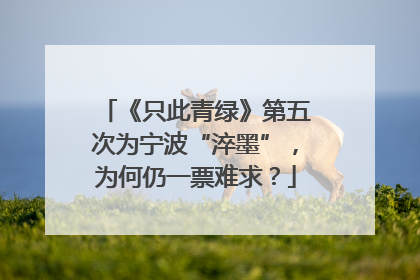 《只此青绿》第五次为宁波“淬墨”，为何仍一票难求？