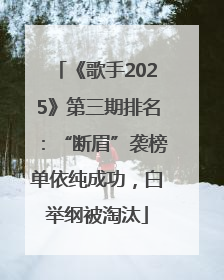 《歌手2025》第三期排名：“断眉”袭榜单依纯成功，白举纲被淘汰