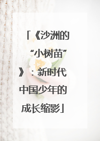 《沙洲的“小树苗”》：新时代中国少年的成长缩影