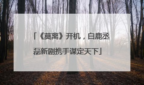 《莫离》开机，白鹿丞磊新剧携手谋定天下