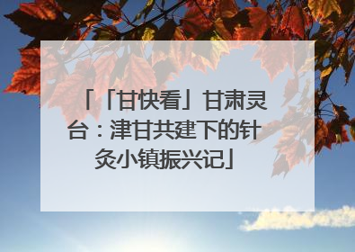 「甘快看」甘肃灵台：津甘共建下的针灸小镇振兴记