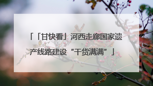 「甘快看」河西走廊国家遗产线路建设“干货满满”