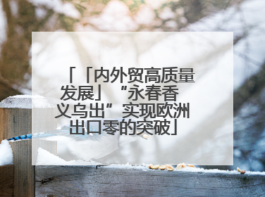 「内外贸高质量发展」“永春香 义乌出”实现欧洲出口零的突破