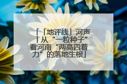 「地评线」河声丨从“一粒种子”看河南“两高四着力”的落地生根
