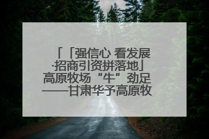 「强信心 看发展·招商引资拼落地」高原牧场“牛”劲足——甘肃华予高原牧场高标准奶牛肉牛养殖项目一线见闻