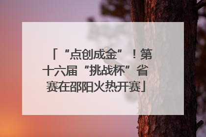 “点创成金”！第十六届“挑战杯”省赛在邵阳火热开赛