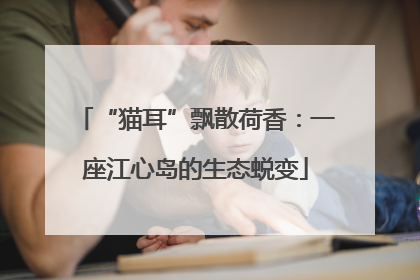 “猫耳”飘散荷香：一座江心岛的生态蜕变