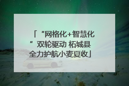 “网格化+智慧化”双轮驱动 柘城县全力护航小麦夏收
