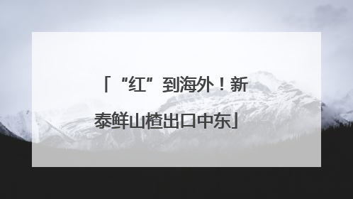 “红”到海外！新泰鲜山楂出口中东