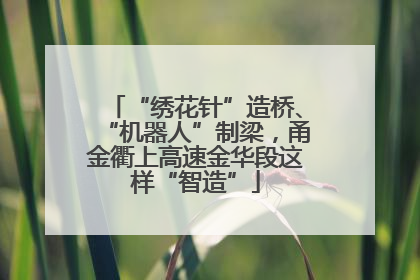 “绣花针”造桥、“机器人”制梁，甬金衢上高速金华段这样“智造”