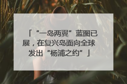 “一岛两翼”蓝图已展，在复兴岛面向全球发出“杨浦之约”