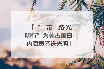 “一带一路·光明行”为蒙古国白内障患者送光明