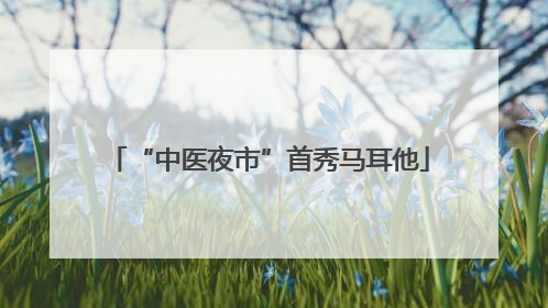 “中医夜市”首秀马耳他