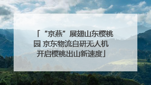 “京燕”展翅山东樱桃园 京东物流自研无人机开启樱桃出山新速度