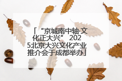 “京城南中轴·文化正大兴” 2025北京大兴文化产业推介会于成都举办
