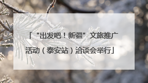 “出发吧！新疆”文旅推广活动（泰安站）洽谈会举行