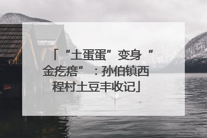 “土蛋蛋”变身“金疙瘩”：孙伯镇西程村土豆丰收记