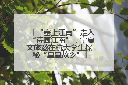 “塞上江南”走入“诗画江南”，宁夏文旅邀在杭大学生探秘“星星故乡”