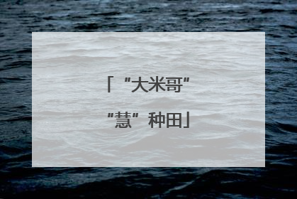 “大米哥”“慧”种田