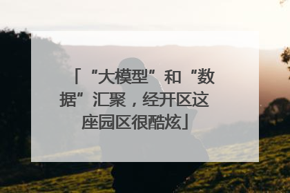 “大模型”和“数据”汇聚，经开区这座园区很酷炫