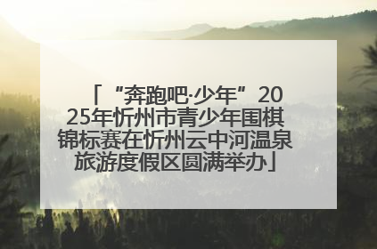 “奔跑吧·少年”2025年忻州市青少年围棋锦标赛在忻州云中河温泉旅游度假区圆满举办