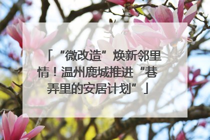 “微改造”焕新邻里情！温州鹿城推进“巷弄里的安居计划”