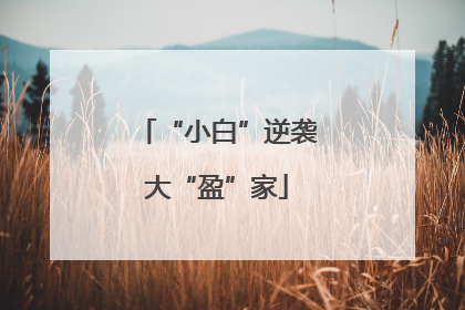 “小白”逆袭大“盈”家