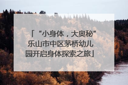“小身体，大奥秘” 乐山市中区茅桥幼儿园开启身体探索之旅