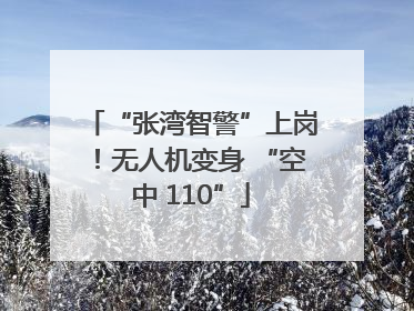 “张湾智警”上岗！无人机变身 “空中 110”