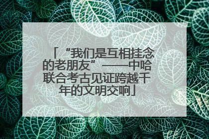 “我们是互相挂念的老朋友”——中哈联合考古见证跨越千年的文明交响