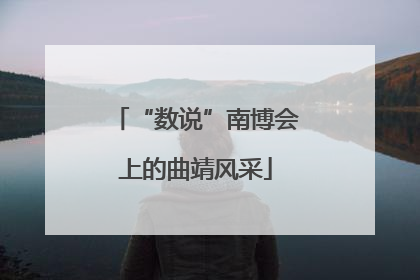 “数说”南博会上的曲靖风采