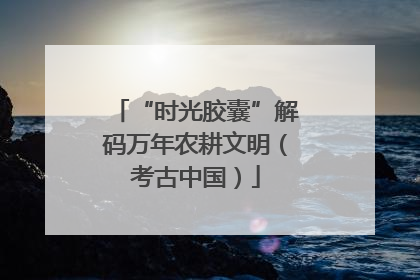 “时光胶囊”解码万年农耕文明（考古中国）
