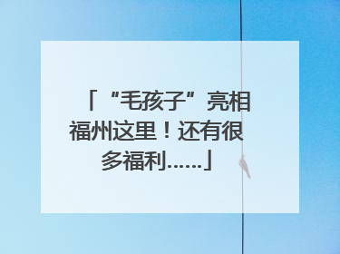 “毛孩子”亮相福州这里！还有很多福利……