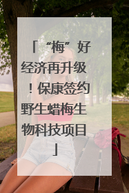 “梅”好经济再升级！保康签约野生蜡梅生物科技项目