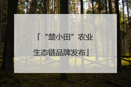 “楚小田”农业生态链品牌发布