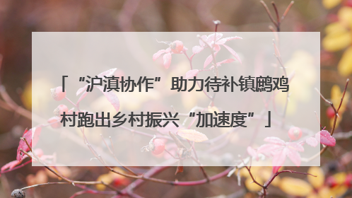 “沪滇协作”助力待补镇鹧鸡村跑出乡村振兴“加速度”