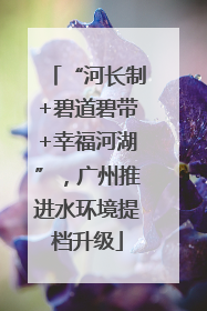 “河长制+碧道碧带+幸福河湖”，广州推进水环境提档升级