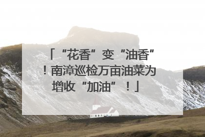 “花香”变“油香”！南漳巡检万亩油菜为增收“加油”！