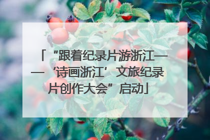 “跟着纪录片游浙江——‘诗画浙江’文旅纪录片创作大会”启动