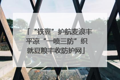 “铁翼”护航麦浪丰 平凉“一喷三防”织就夏粮丰收防护网