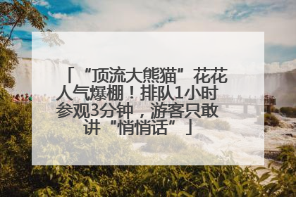 “顶流大熊猫”花花人气爆棚！排队1小时参观3分钟，游客只敢讲“悄悄话”