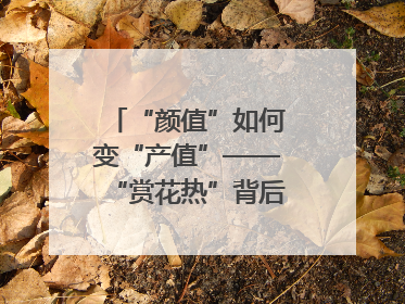 “颜值”如何变“产值”——“赏花热”背后的产业图谱