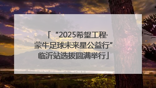 “2025希望工程·蒙牛足球未来星公益行”临沂站选拔圆满举行