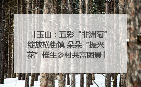 玉山：五彩“非洲菊”绽放横街镇 朵朵“振兴花”催生乡村共富图景
