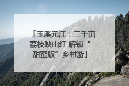玉溪元江：三千亩荔枝映山红 解锁“甜蜜版”乡村游