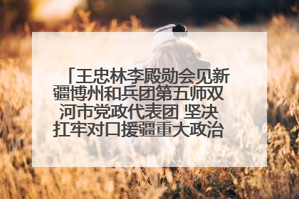 王忠林李殿勋会见新疆博州和兵团第五师双河市党政代表团 坚决扛牢对口援疆重大政治责任 推动双方实现优势互补务实合作