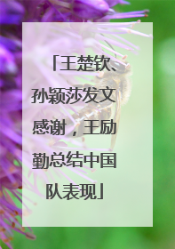 王楚钦、孙颖莎发文感谢，王励勤总结中国队表现
