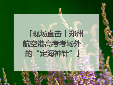 现场直击丨郑州航空港高考考场外的“定海神针”