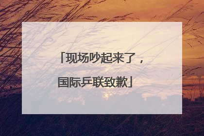现场吵起来了，国际乒联致歉