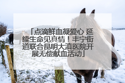 点滴鲜血凝爱心 延续生命见真情！丰宁街道联合昆明大滇医院开展无偿献血活动